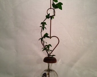 Plant Rooter Mini Heart Design, Mother's Day, Birthday or Any Day !  *Free Gift with Every Order*