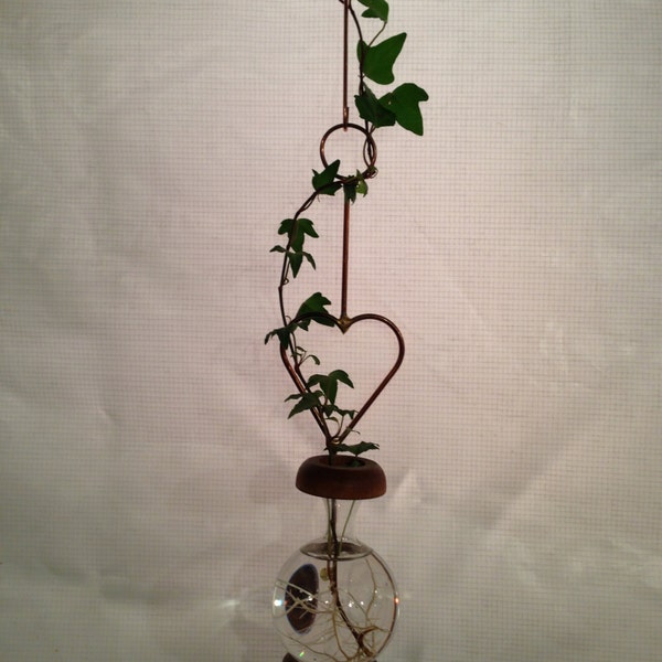 Plant Rooter Mini Heart Design, Mother's Day, Birthday or Any Day !  *Free Gift with Every Order*