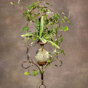 Plant Rooter Loop Style. Christmas, Birthday or Any Day, *free Gift ...