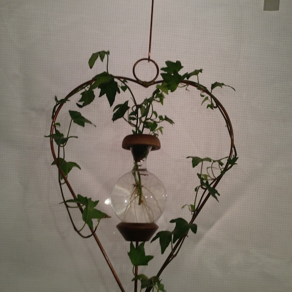 Plant Rooter Heart Style. Perfect for Mother's Day, Birthday or Everyday!  Free Gift with Every Order.
