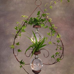 May include: A hanging planter featuring two stacked clear glass globes held by a copper-toned metal frame. Green ivy vines wrap around the circular frame, while a spider plant with long, pointed green and white leaves sits in the top glass globe.