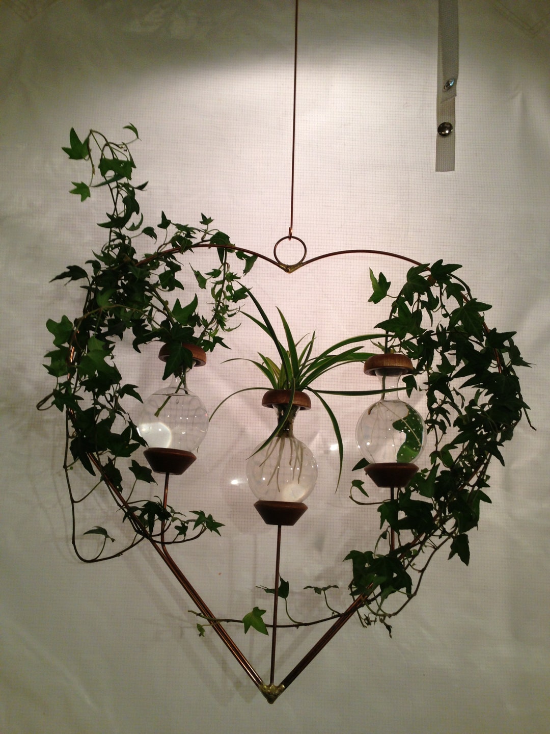 Large Heart Plant Rooter, Copper Hanging Propagation Station, USA Made ...