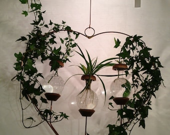 Plant Rooter Triple Bulb Heart Style. Christmas, Birthday or Any Day. Free Gift with Every Order. Fast Shipping