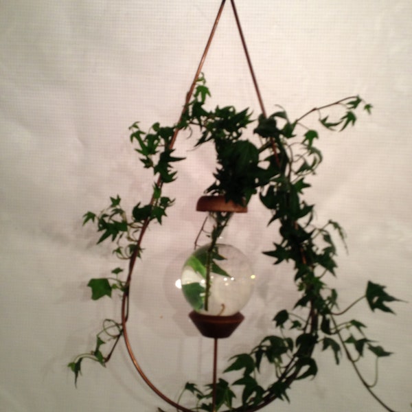 Plant Rooter Tear Drop Style Mother's Day, Birthday or Any Day ! Free Gift with Order !