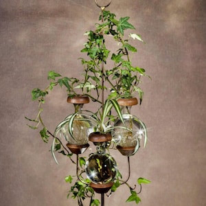 May include: A hanging plant display featuring three clear glass spherical vases held by a dark metal frame with wooden accents. Each vase contains water and a plant, including ivy vines and a spider plant, suspended from a single metal ring.