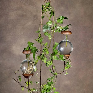 May include: A metal plant hanger with three glass globes, each containing a potted plant. The hanger is suspended from the ceiling and the plants are growing out of the globes.