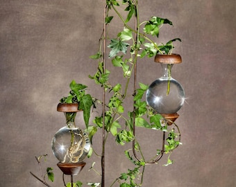 Twin Bulb Plant Rooter. Christmas, Birthday or Any Day! Free Gift with Order!