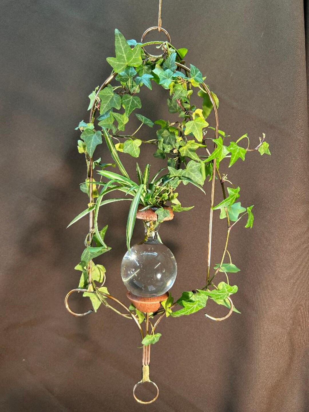 Loop Design Plant Rooter. Birthday, Christmas. Free Gift With Order. - Etsy