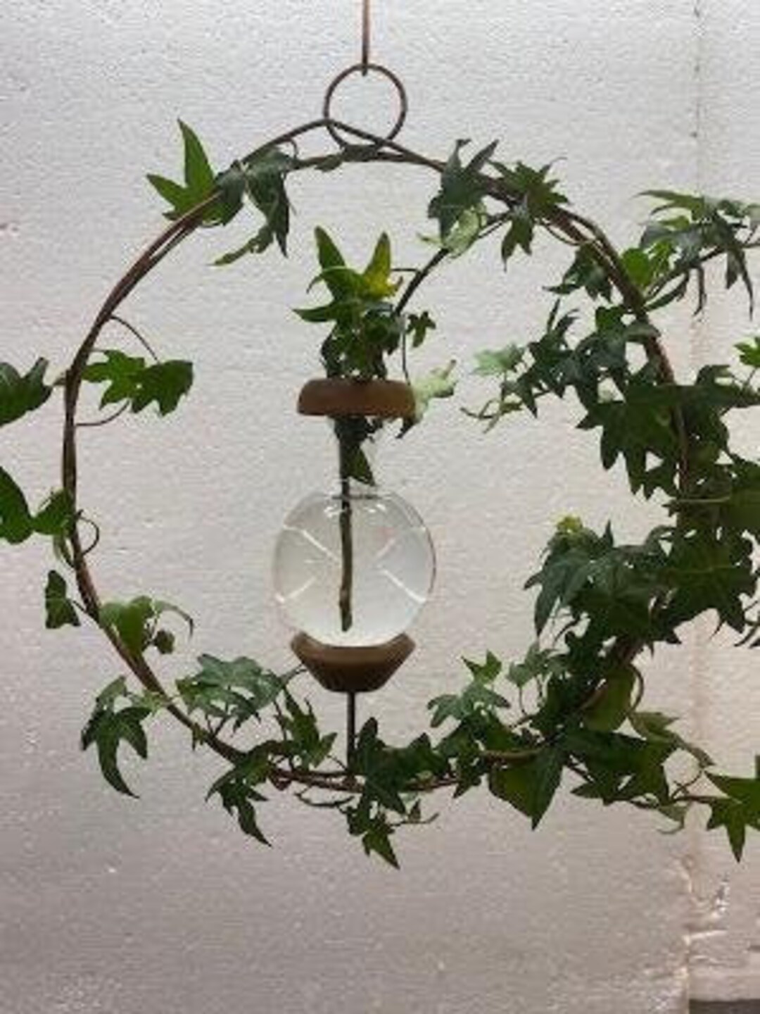 Round Plant Rooter Sweetest Day, Christmas, Birthday, Everyday free ...