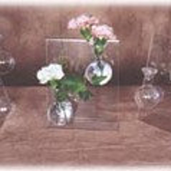 Flower Bud Vases Suction Cup. Everyday! Mother's Day, Birthday Gift or Any Day.  *Free Gift with every Purchase* Made In Ohio