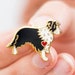 see more listings in the Border Collie section
