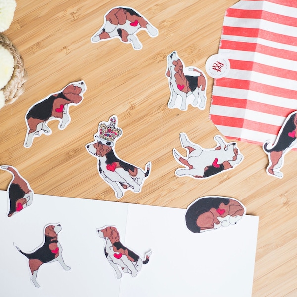 Pack d'autocollants pour chien Beagle - Lot de 10 autocollants en papier Beagle