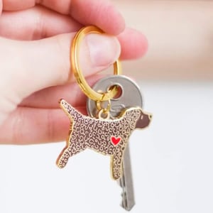 May include: A gold-coloured metal keyring with a dog-shaped charm. The charm is brown with a pattern and a red heart. The keyring is attached to a key and a gold ring.