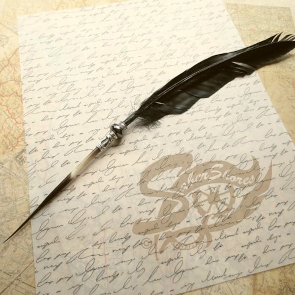 Artist Quill Pen Raven's Wing Ink Dip Porcupine Quill Feather Pen and Hematite STEAMPUNK