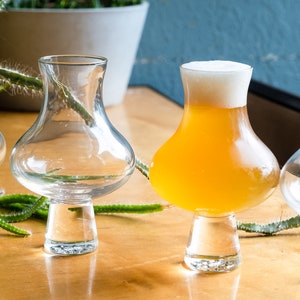 Aegir Tritan Unbreakable IPA Beer Glasses, Set of 2