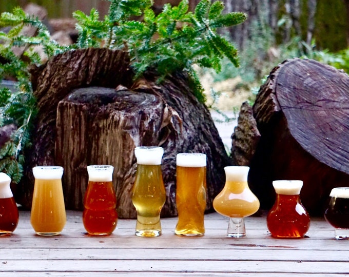 Big Set of Pretentious Beer Glasses, Craft Beer Glassware, Hoppy, Subtle, JuicyY, Hazy, THE, Tulip, Sequel and Big Sexy