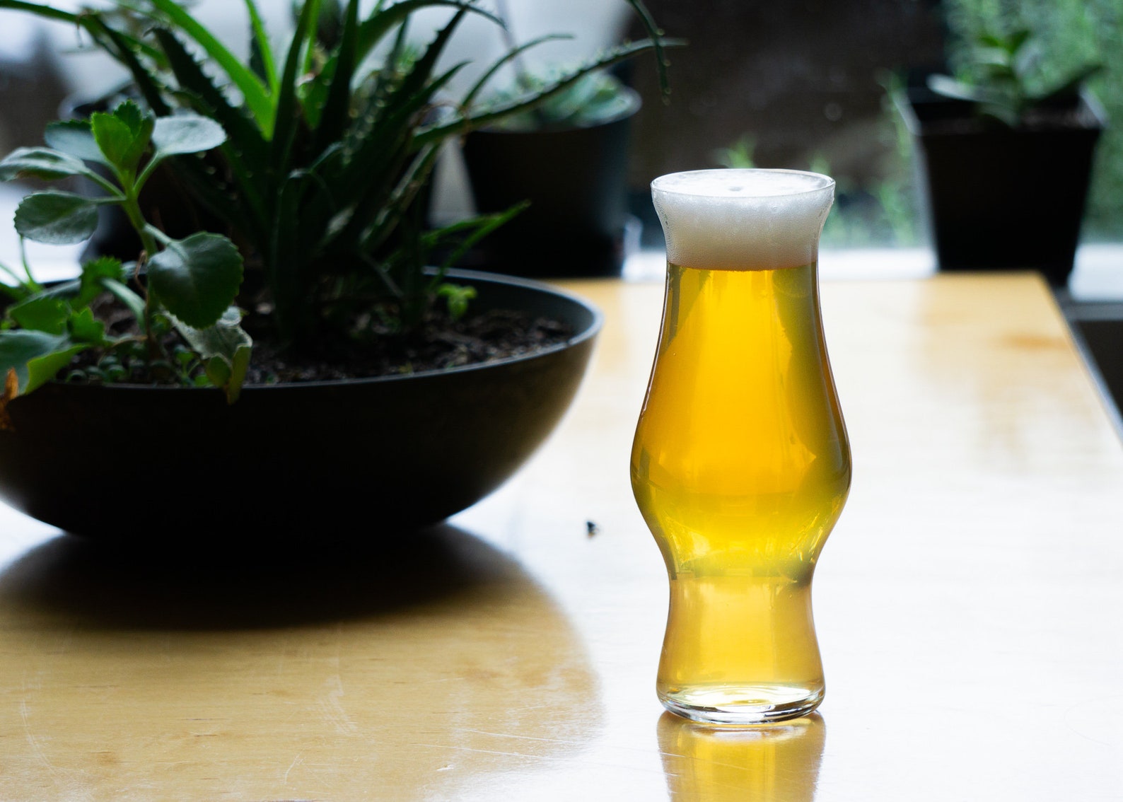 Big Set of Pretentious Beer Glasses Craft Beer Glassware Etsy