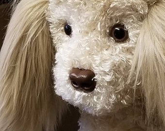 Peluche de poodle creado para un cliente a partir de fotos de su cachorro.  De menor tamaño, el cachorro mide quince pulgadas.  El color cambia con la luz.