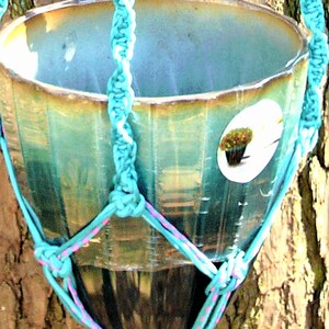 May include: A turquoise and pink macrame plant hanger with a teal glazed ceramic pot hanging from a tree trunk.