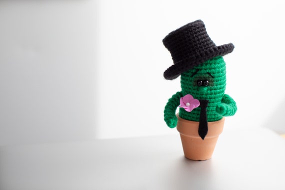 Crochet Cactus Amigurumi: Mr. Cactus With Hat, Desk Decor - Etsy