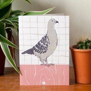 Pigeon - Illustrated Card. Blank Inside. Wild Bird Art