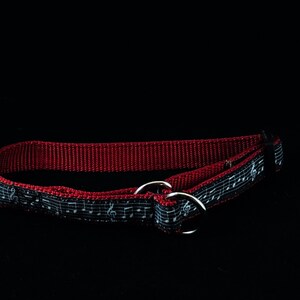 Music Note Ribbon Limited Slip Collar - Medium