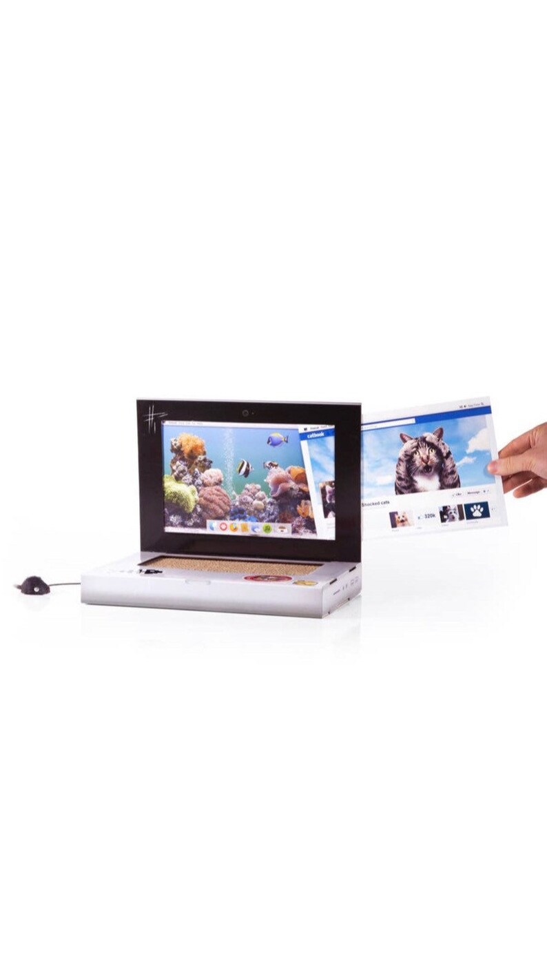 Cat Laptop Scratch Pad with Fluffy Toy Mouse Etsy