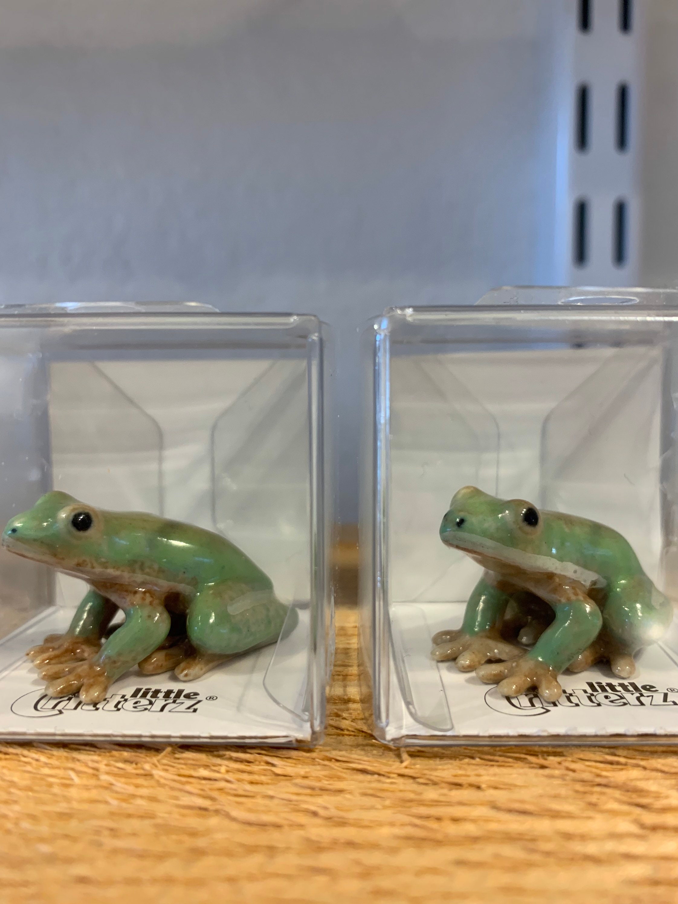 GREEN TREE FROG Miniature Porcelain Figurine Etsy