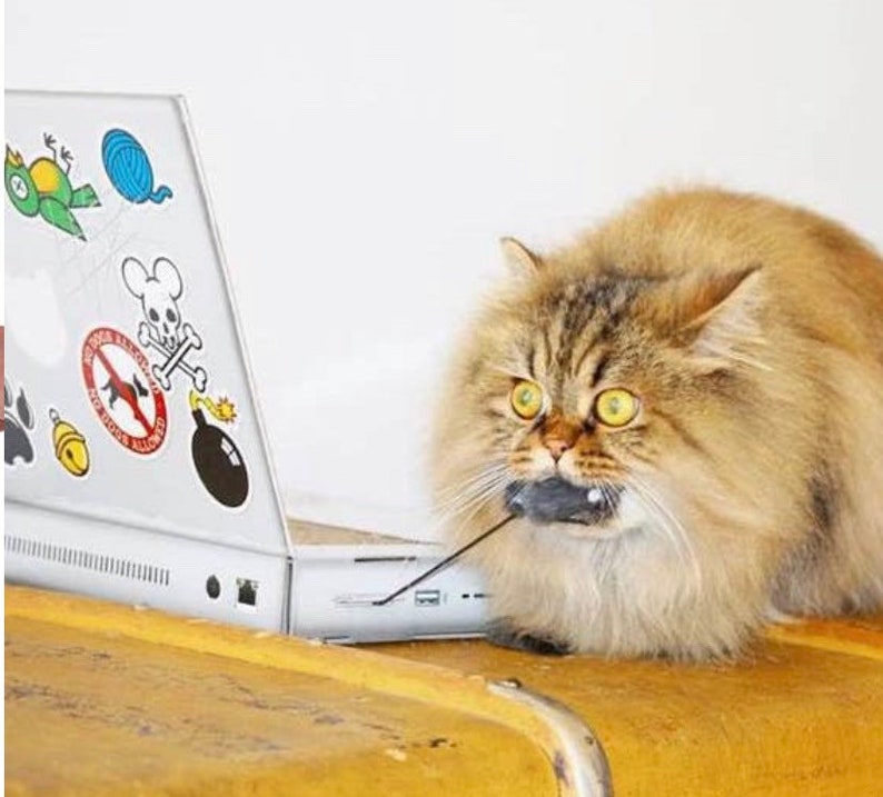 Cat Laptop Scratch Pad with Fluffy Toy Mouse Etsy