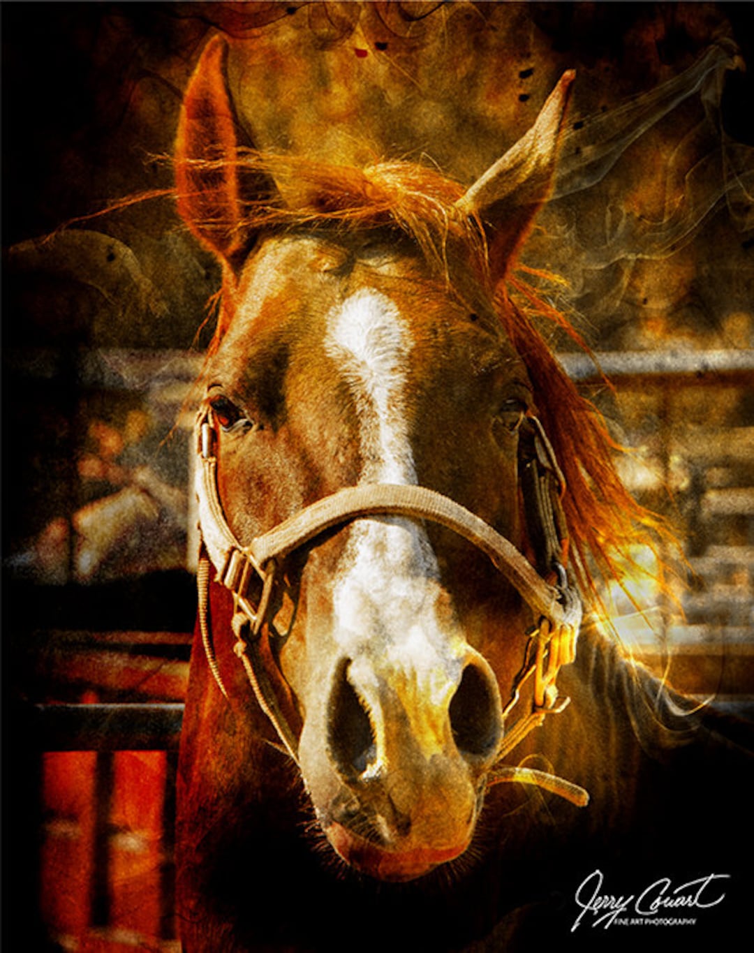 Horse Photography, Horse Equestrian Fine Art Photography, Horse