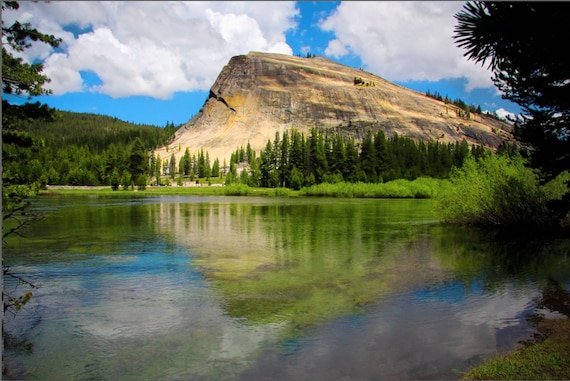 Reflection Water
