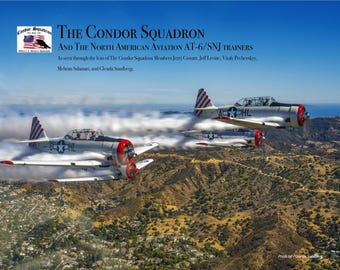 Airplane WW II Wall Calendar, Warbird Airplane Calendar, The Condor Squadron Calendar, Airplanes Calendar, T-6 Planes Lovers Art Calendar