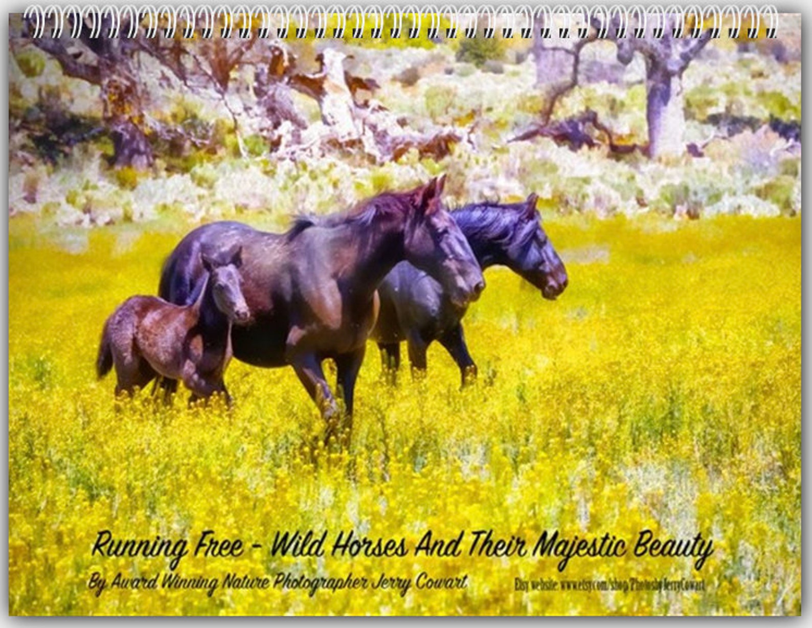 2023 Horse Calendar Wild Horses Wall Calendar Horses Running Etsy