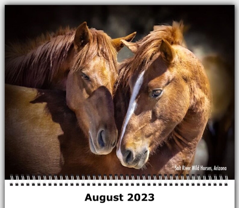 2023 Horse Calendar Wild Horses Wall Calendar Horses Running Etsy