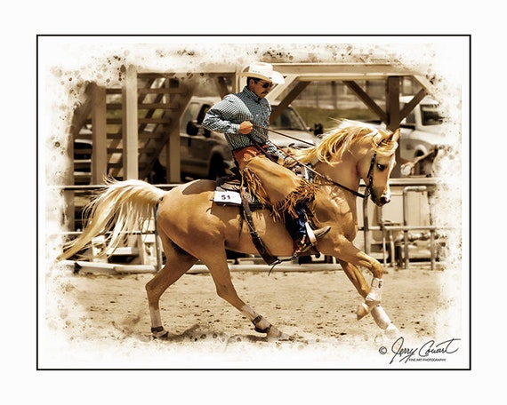 Rodeo Horses Cowboy Rodeo Horse Riding Palomino Equestrian Etsy