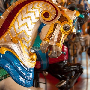 Carousel Horse Art Print, Santa Monica Pier Carousel Horse Art Print, Carousel Horse Art