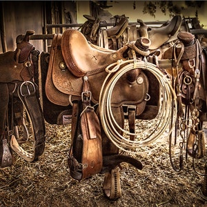 Cowboy Saddle Photography Print, Cowboy Lasso Photo Art, Cowboy Western Art, Cowboy Life Fine Art Photography Print