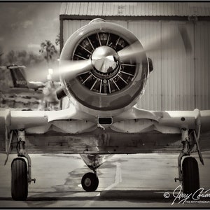 Vintage Airplane Photography, WW II Airplane Photography, North American T-6 Aircraft Art, US Military Aircraft, Condor Squadron Art Prints