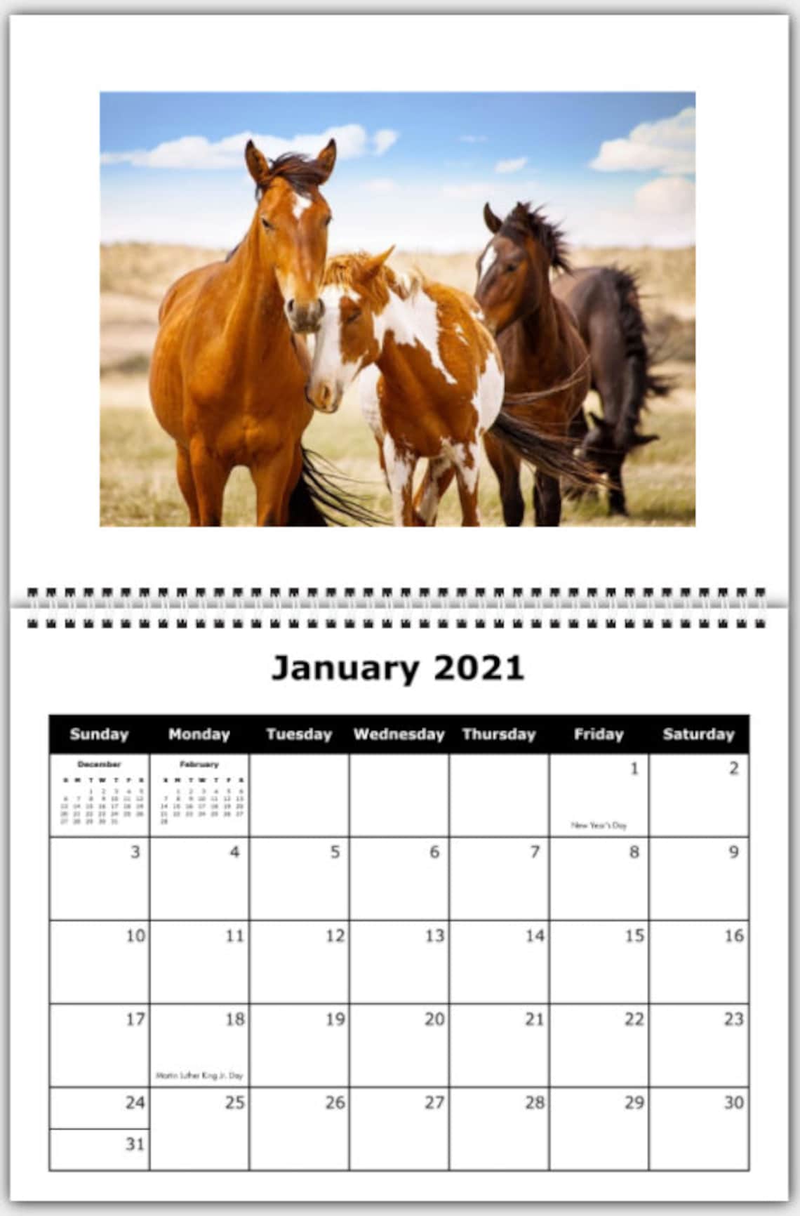 2021 Wild Horses Wall Calendar Horses Running Free In Their Etsy