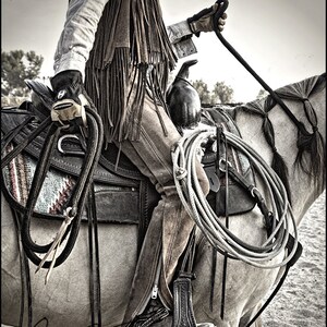 May include: A cowboy riding a horse, wearing a fringed leather vest, chaps, and gloves. The horse is wearing a saddle and has a rope tied around its neck.