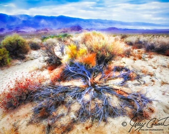 Desert Sage Brush Photography, Desert Sage Blue Sky Fine Art Photography Print, Desert Landscape Art