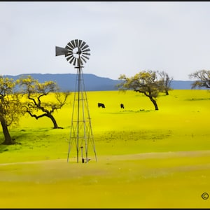 Windmill Fine Art Photography Print, Ranch Windmill Art Prints, Windmill Oak Trees Ranch Art Prints, Windmill Cows Art