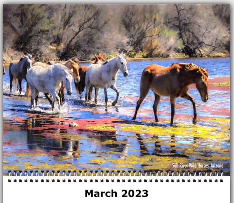 2023 Horse Calendar, Wild Horses Wall Calendar, Horses Running Spiral ...