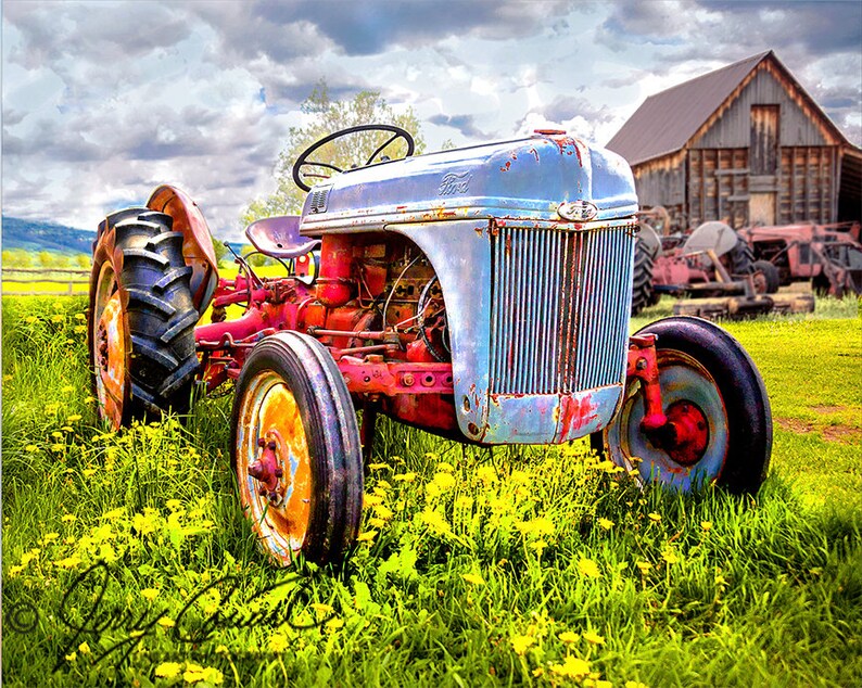 Vintage Tractor Art Print, Farm Tractor 1948 Ford 8N Photography, Old