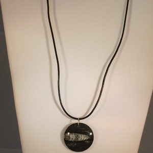 Fossil pendant on leather cord necklace adjustable 20-22&quot;