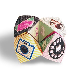 Digital retro girly cootie catcher / fortune teller / game / DIY toy / downloadable / printable/ dog, rose, telephone, camera image 1