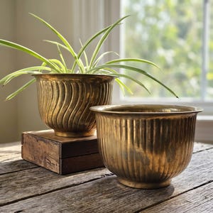 May include: Two brass planters with a metallic finish. The taller planter features a vertical wavy texture and holds a green spider plant. The shorter planter in the foreground has a vertical ribbed pattern. Both items have a wide, open rim.