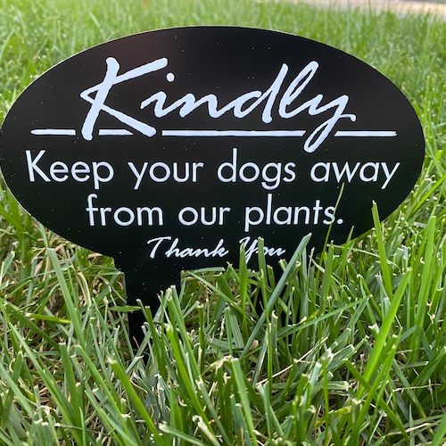 How Do I Keep My Dog Out Of My Plants