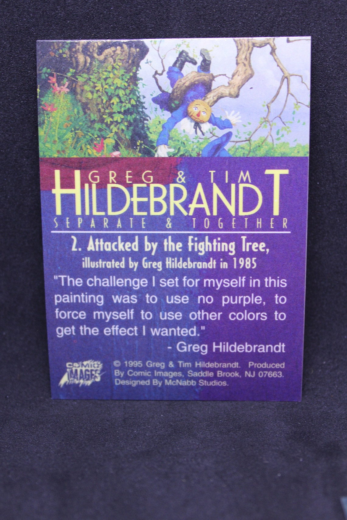 Hildebrandt Magnachrome Trading Cards Lot of 6 Cards Etsy