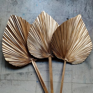 Large Golden Palm Spears Colored - Exotic Decoration - Fall Decoration - Weddings - SET OF 3